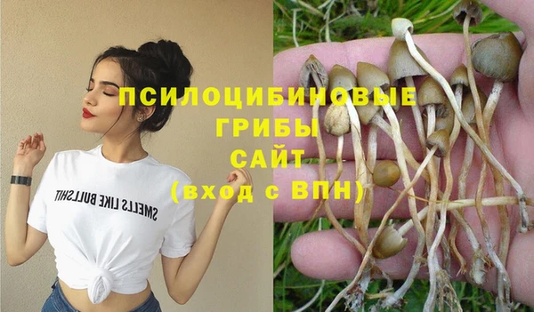 альфа пвп Белокуриха